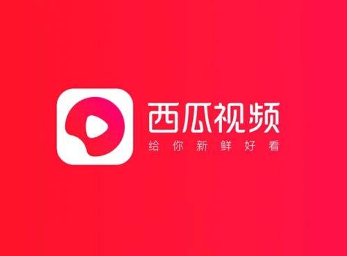 西瓜视频